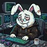 White Rabbitx 🏴‍☠️ profile picture